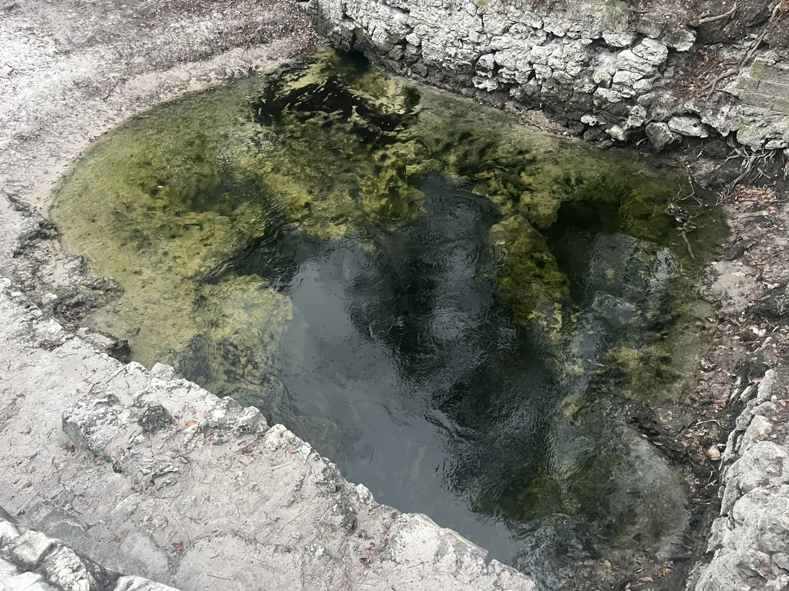 Clear water pool at Suwannee Springs with limestone and historic stone ruins