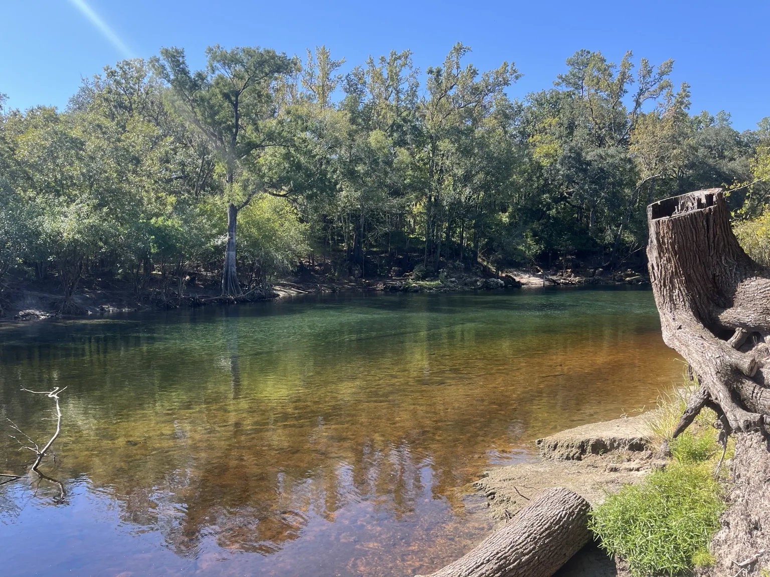 Clear green and amber spring water where Troy Spring meets the Suwannee River