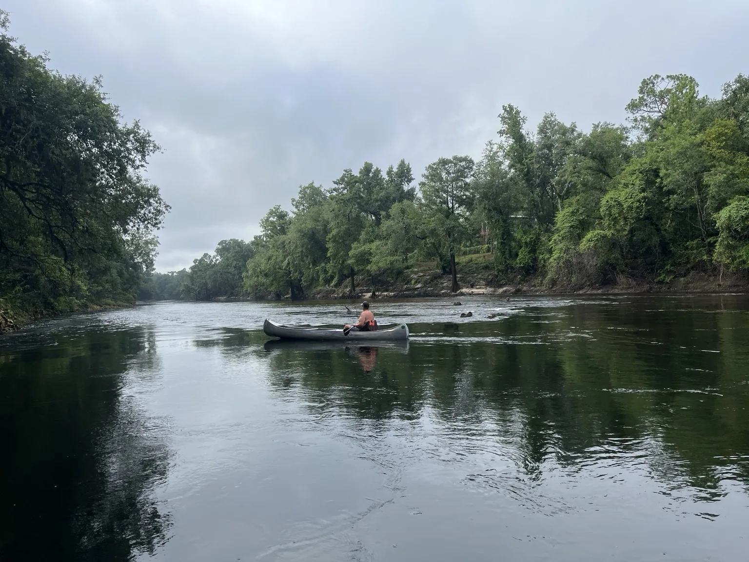 Canoe paddler on the Suwannee River surrounded by forest and calm water