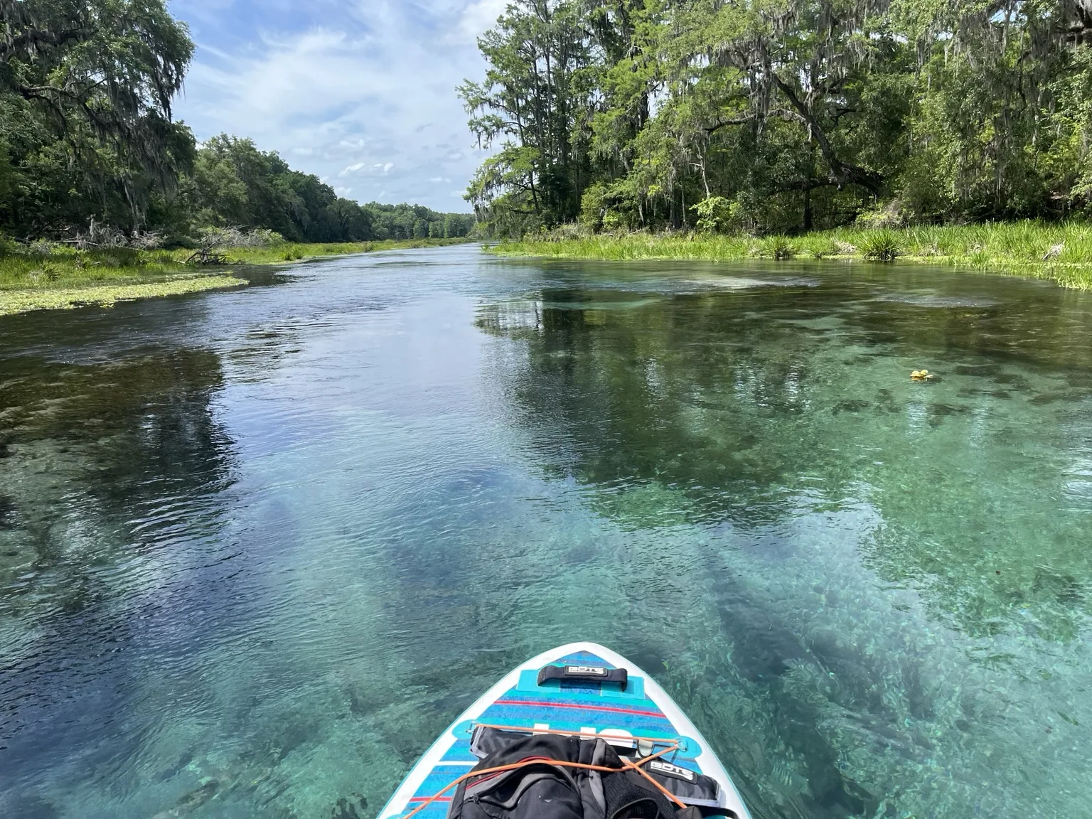 Stand-up paddleboard on clear spring water during a Suwannee River trip